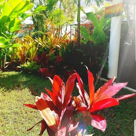 Homestay szállás La Selvita Bajamar