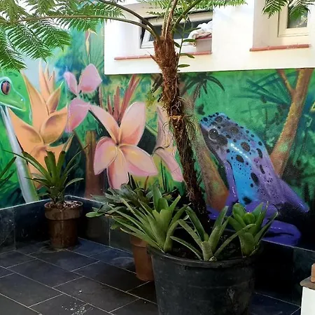 Homestay La Selvita *