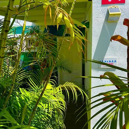 La Selvita Homestay szállás