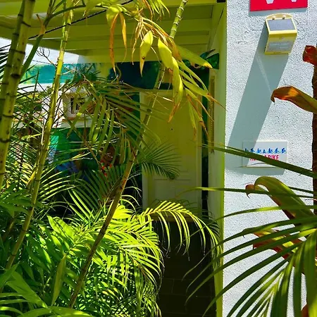 La Selvita Homestay