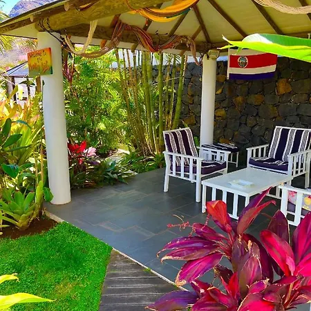 La Selvita Homestay *