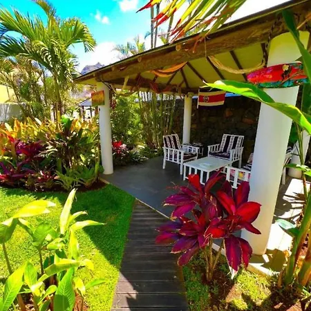 Homestay La Selvita *