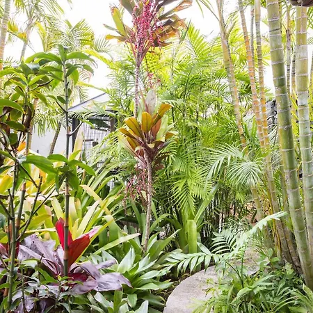 Homestay La Selvita Bajamar (La Laguna)