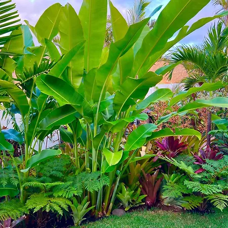 Homestay La Selvita