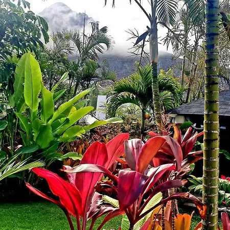 La Selvita Homestay *