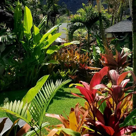 Homestay La Selvita *
