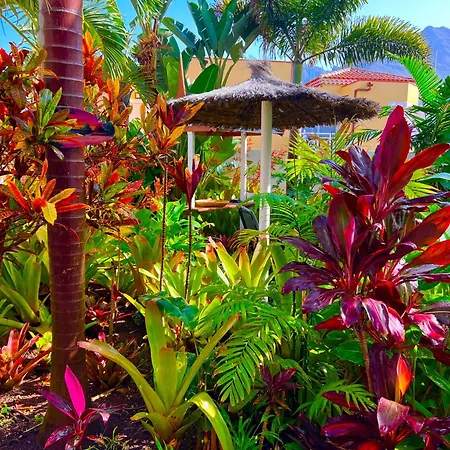 La Selvita Homestay Bajamar (La Laguna)