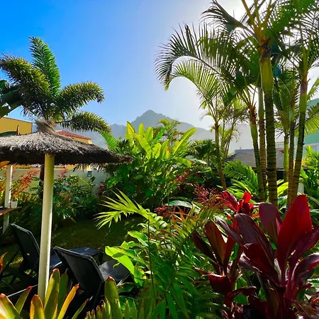 La Selvita * Bajamar