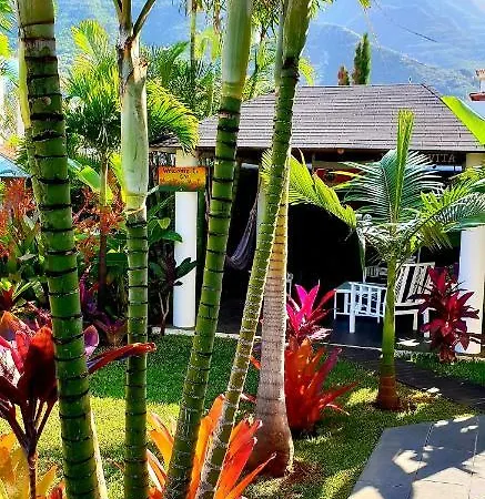 La Selvita Homestay
