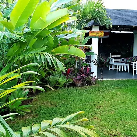 La Selvita Homestay Bajamar (La Laguna)