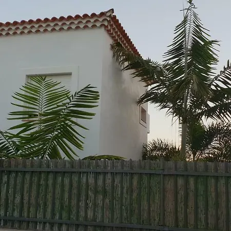 La Selvita Bajamar (La Laguna)