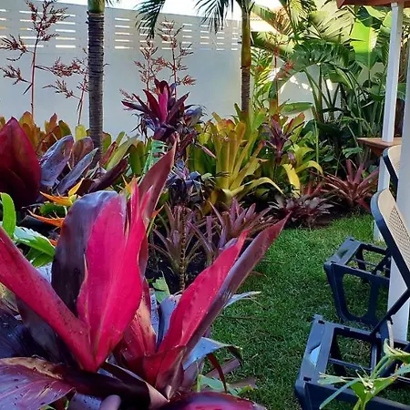 La Selvita Homestay Bajamar (La Laguna)