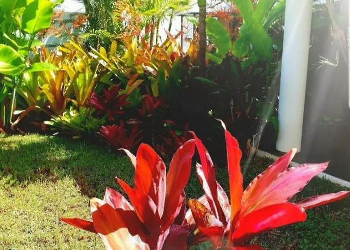 Проживание в семье La Selvita Бахамар