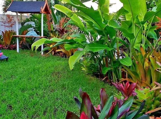 La Selvita Бахамар