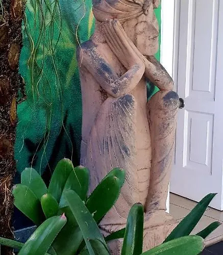 La Selvita * Бахамар