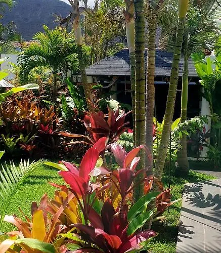 La Selvita Проживание в семье *