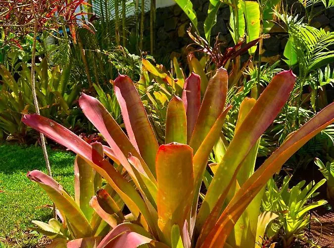 Проживание в семье La Selvita *