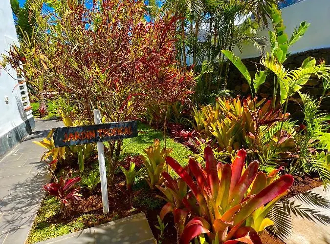 La Selvita Проживание в семье *