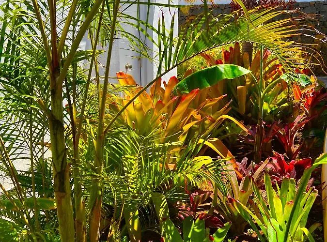 La Selvita Проживание в семье *