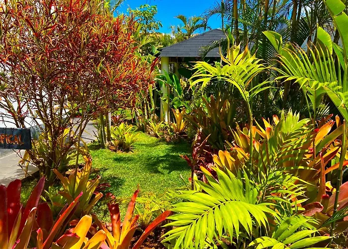 Проживание в семье La Selvita Бахамар