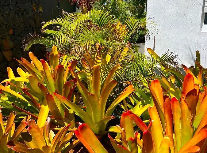 La Selvita Проживание в семье *