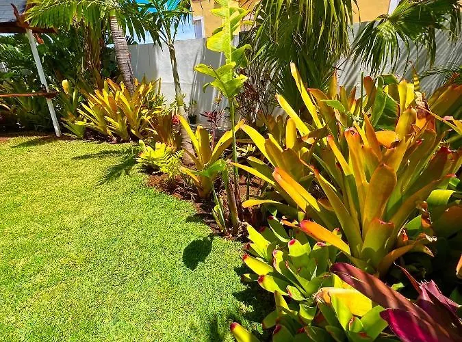 La Selvita Бахамар