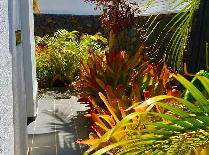 La Selvita Проживание в семье *