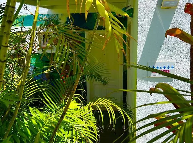 La Selvita Проживание в семье