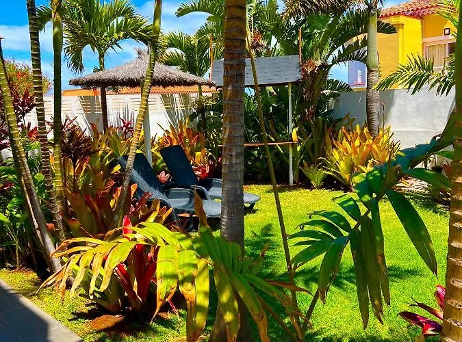 La Selvita Бахамар