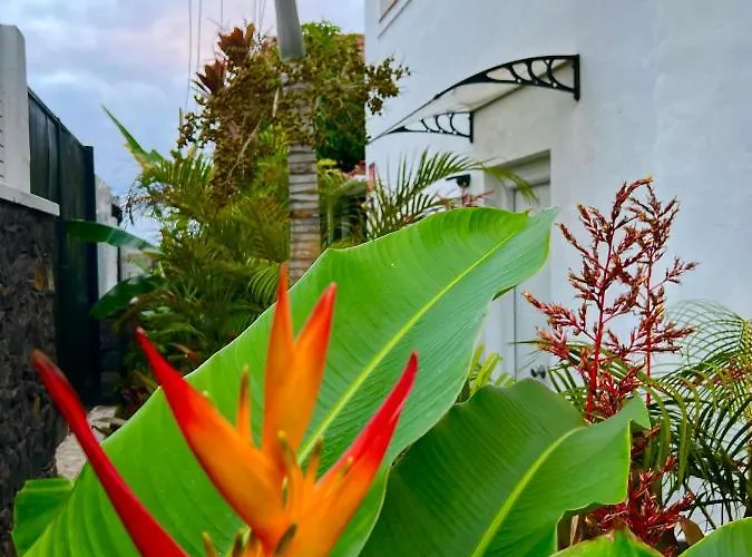 La Selvita Проживание в семье Бахамар