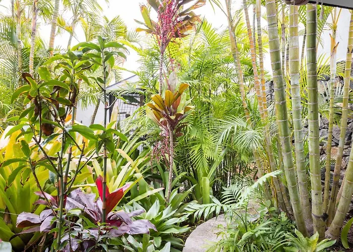 Проживание в семье La Selvita Бахамар