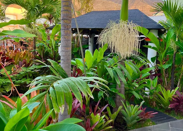 La Selvita Проживание в семье