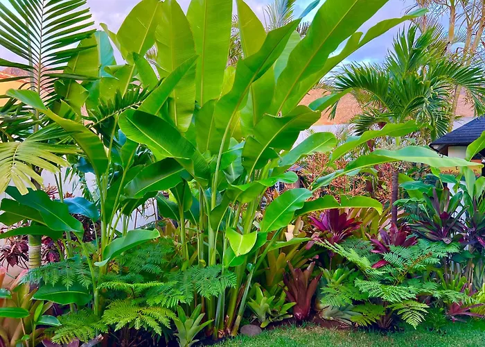 Проживание в семье La Selvita