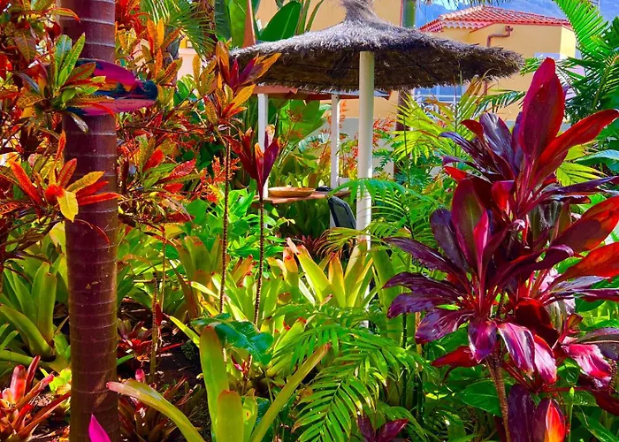 La Selvita Проживание в семье Бахамар