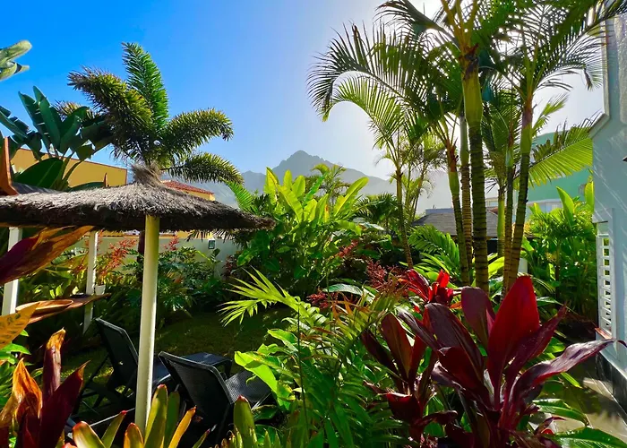 La Selvita * Бахамар