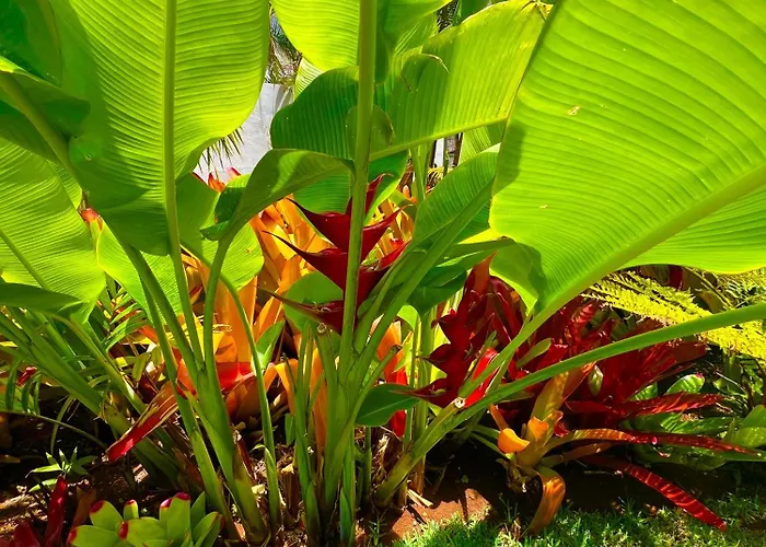 Проживание в семье La Selvita