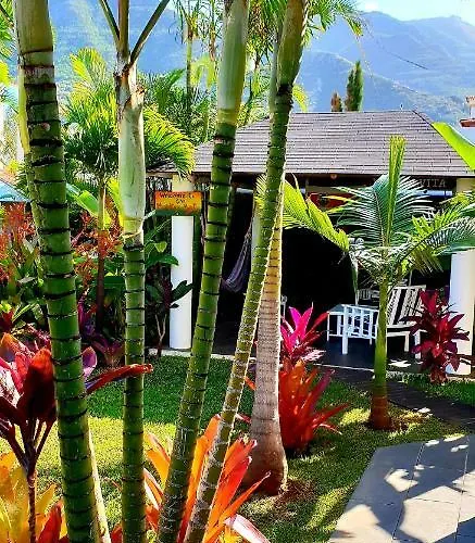 La Selvita Проживание в семье