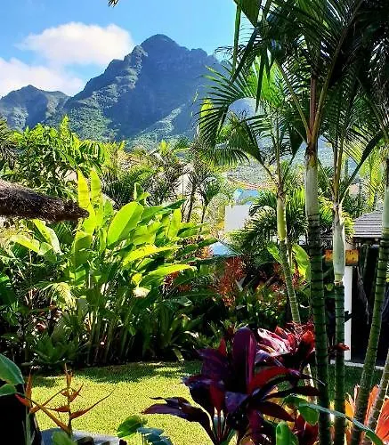 La Selvita Проживание в семье