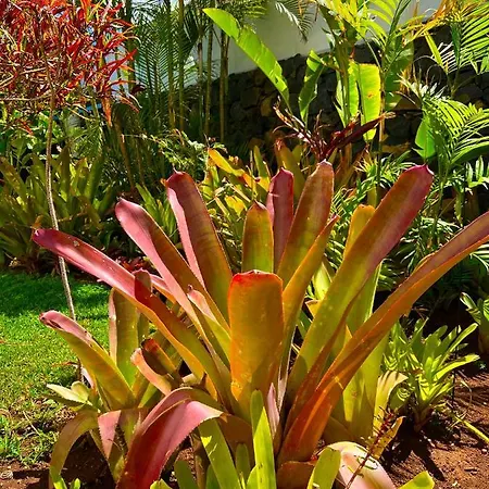 Privatunterkunft La Selvita *