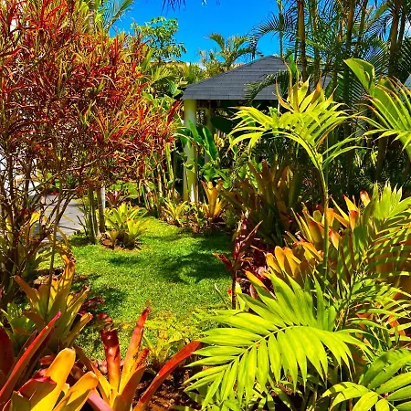 Privatunterkunft La Selvita Bajamar (La Laguna)