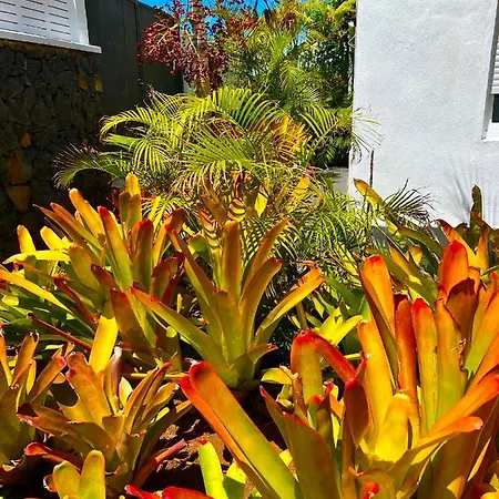 La Selvita Privatunterkunft *