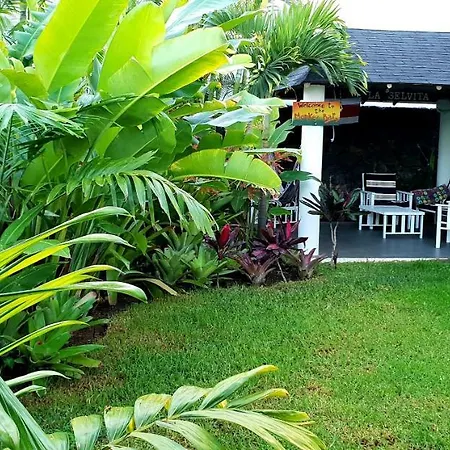 La Selvita Privatunterkunft Bajamar (La Laguna)